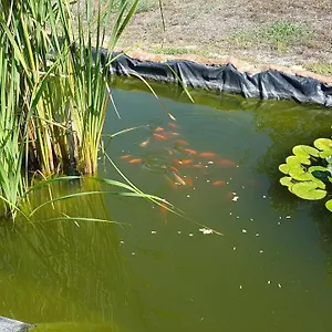 La Barca In Secca , Olmedo Włochy